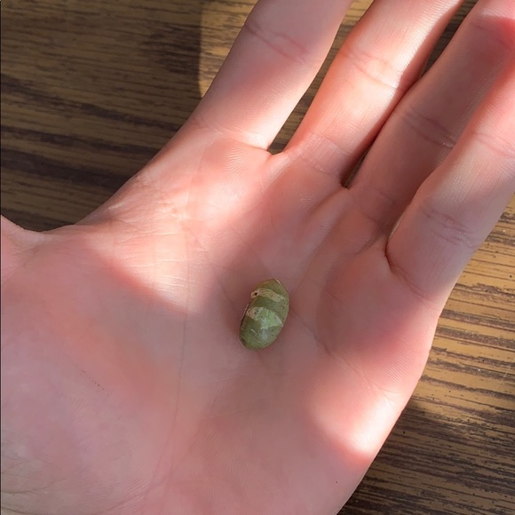 This is my bean - Picture 2 of 3